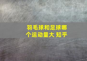 羽毛球和足球哪个运动量大 知乎